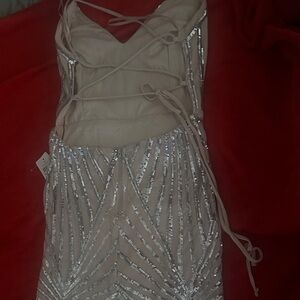 Windsor Champagne and Silver Sequin Backless Dress